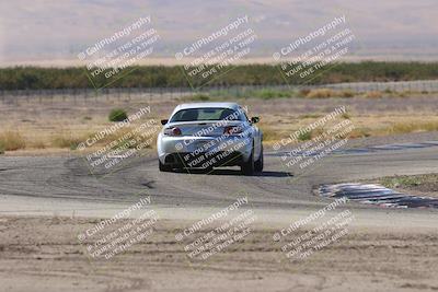 media/Oct-04-2025-OnGrid (Sat) [[44bd565ffa]]/Yellow Group/Grapevine/